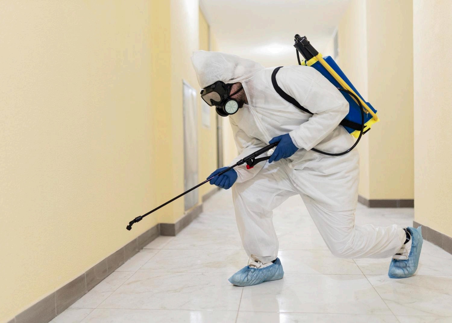 Pest Control Services in Malleshwaram